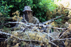 Photo of a turkey hunter in a blind.