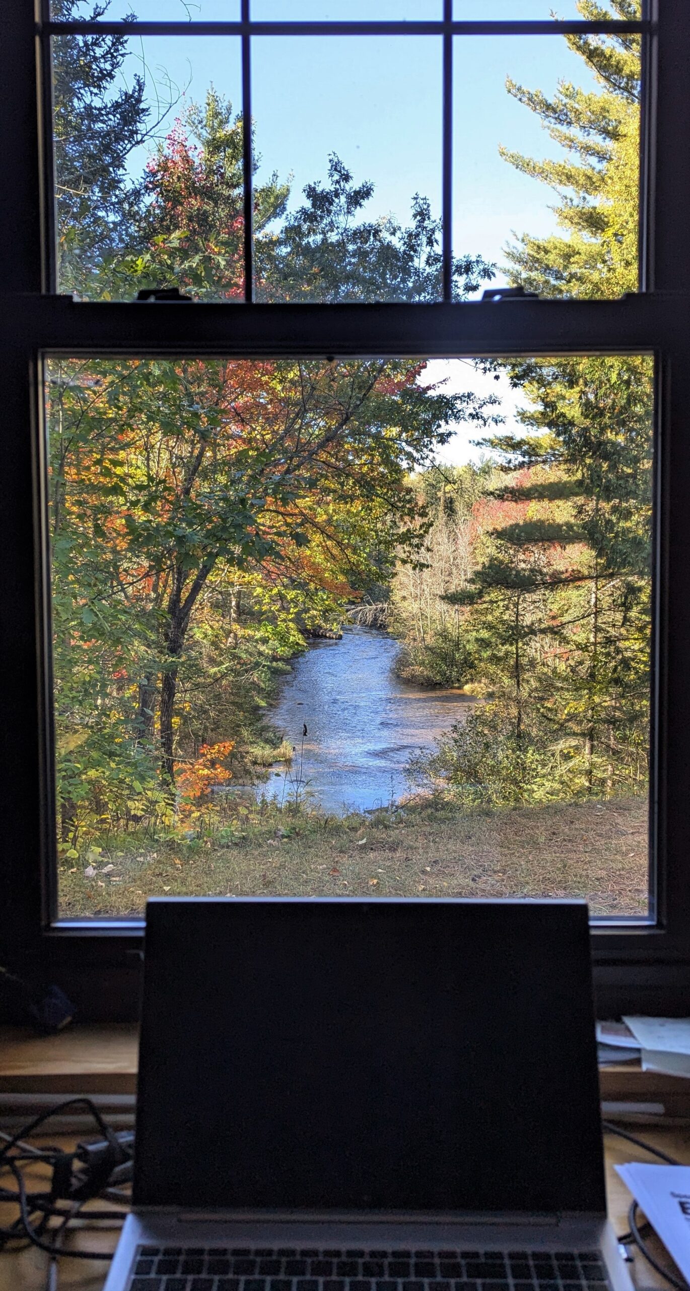 Improving Employee Wellbeing With Exposure To Trees And Nature