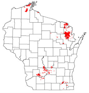 A Wisconsin map showing highest spongy moth defoliation areas in 2024.