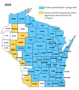 Wisconsin map showing counties quarantined for spongy moth, counties outside of quarantine where egg masses were found by Slow the Spread surveyors, and counties where surveyors did not find egg masses