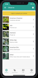 Screenshot of the main page of the TreeSnap app as seen on a mobile phone.