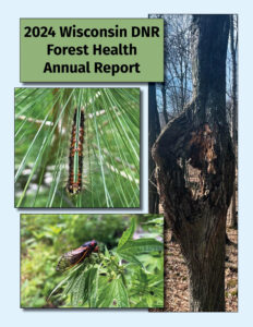 The cover of the Wisconsin Department of Natural Resources' 2024 Forest Health Annual Report.