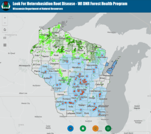 The Wisconsin web map for Heterobasidion root disease, available through ArcGIS Online.