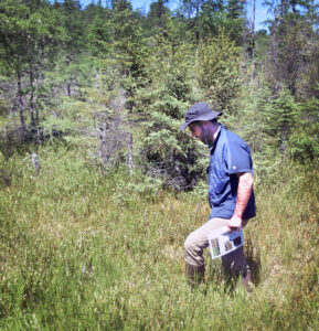 Photo showing DNR Forest Health specialist Paul Cigan looking for various species of invasive plants during a visit to a bog at the Wisconsin Department of Natural Resources' Kemp Research Station