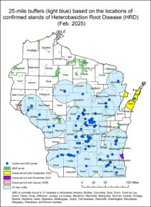 A map of Wisconsin showing Heterobasidion root disease infections and the 25-mile buffer zones around them.