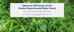 The main page of the Wisconsin Department of Natural Resources' new StoryMap on Japanese Stilt Grass on the Coulee Experimental State Forest.