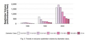 Chart showing trends in red pine sawtimber volume by diameter class
