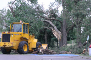 Resources For Storm-Damaged Trees