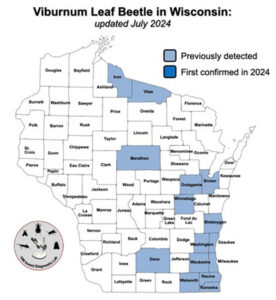 A map showing the presence of viburnum leaf beetle in Wisconsin.