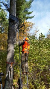 Photo showing a Wisconsin hunter climbing into his tree stand.