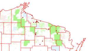 A map showing known cottony ash psyllid infestations in northern Wisconsin.
