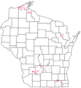 A Wisconsin map showing mapped spongy moth defoliation-related tree mortality in 2025.