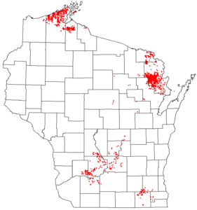 A Wisconsin map showing all spongy moth defoliation that was mapped during the 2022-24 outbreak.