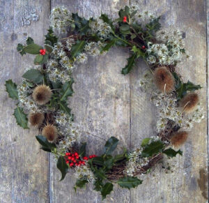 A holiday wreath featuring holly and invasive teasel.