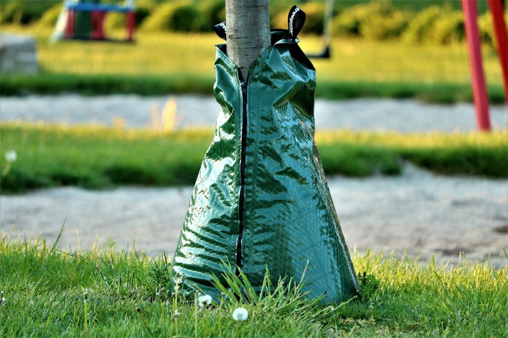 bag to provide water for tree attached to tree trunk