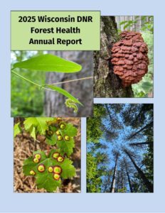 The cover of the 2025 Wisconsin Department of Natural Resources Forest Health Annual Report.
