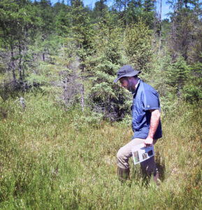 DNR Forest Health specialist Paul Cigan