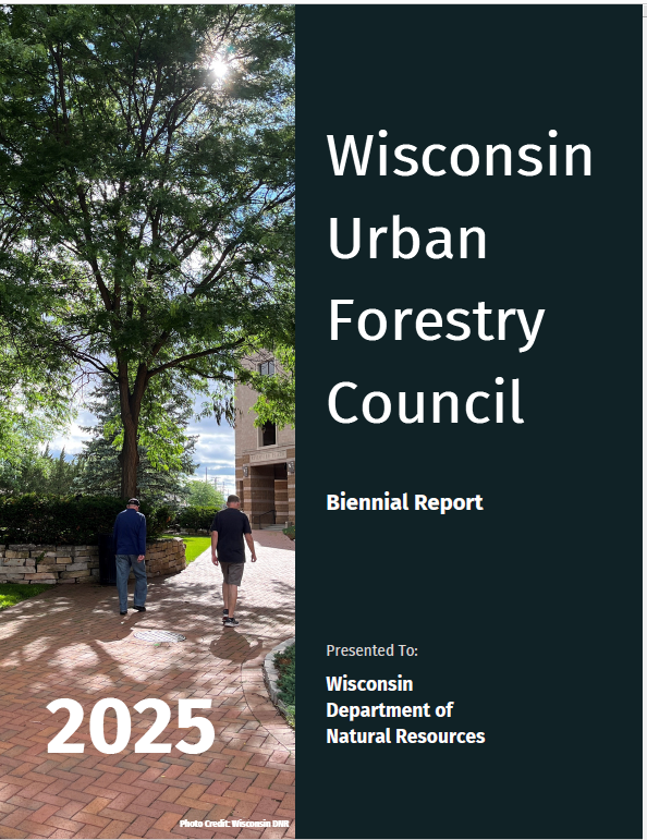 2025 report cover