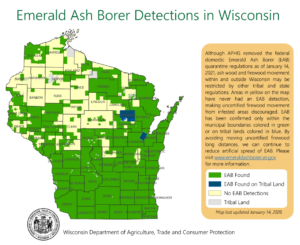 Map of Wisconsin showing emerald ash borer detections as of Jan. 14, 2026.