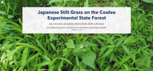 Main page of the Wisconsin DNR's StoryMap on Japanese stilt grass.