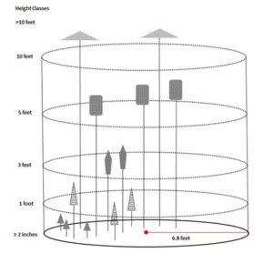 A 1/300th-acre FRM plot