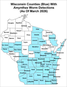 A map of Wisconsin showing counties (in blue) that have had jumping worm detections.