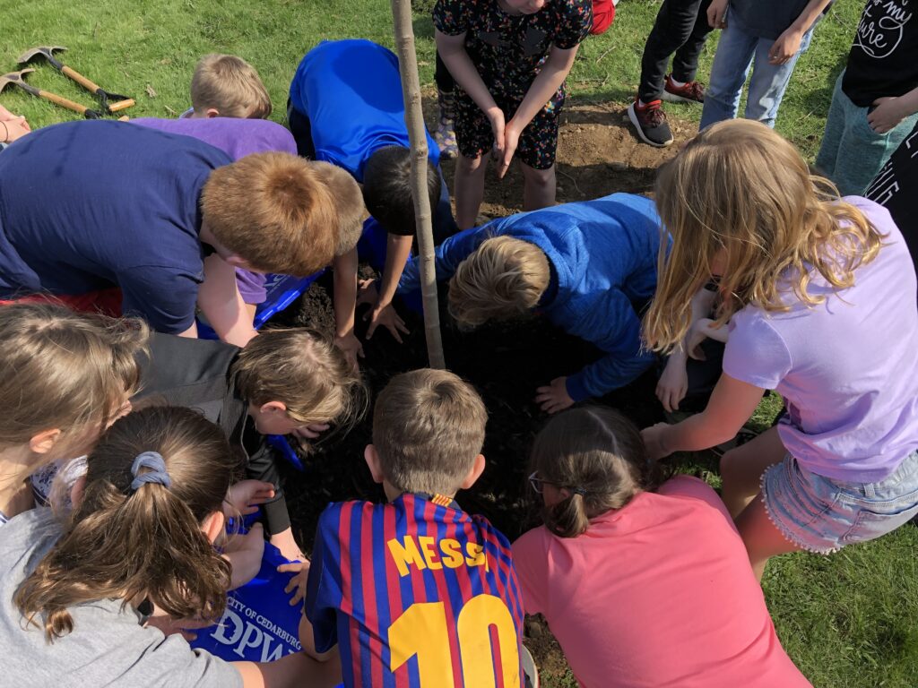 kids planting a tree