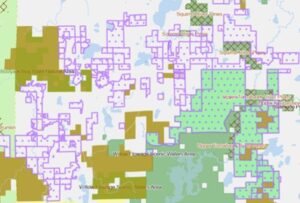 Sample area of a map showing representation of private forest lands open for recreation.