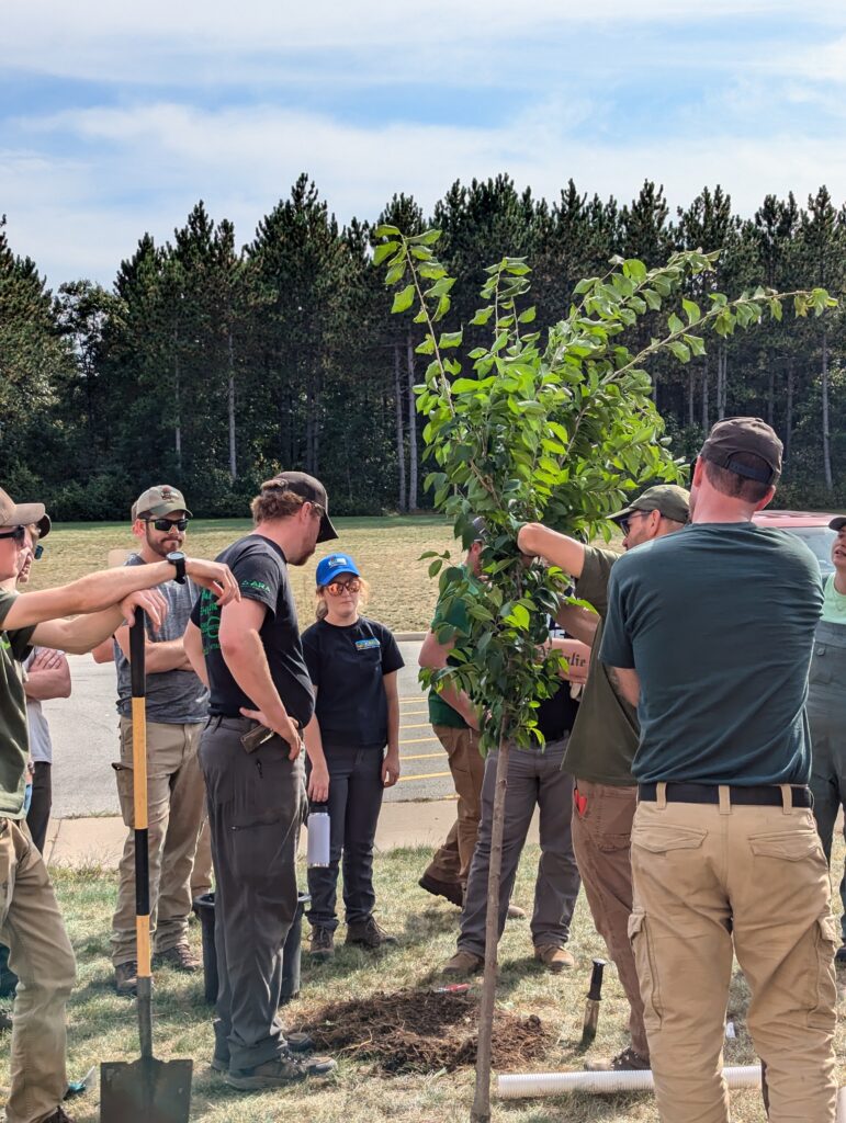 group of people learning to plant a tree