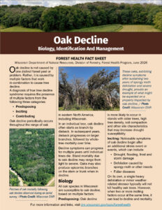 An image of the front page of a DNR fact sheet.