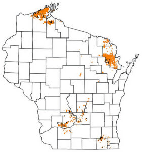 Wisconsin map showing spongy moth defoliation and mortality between 2022 and 2025.