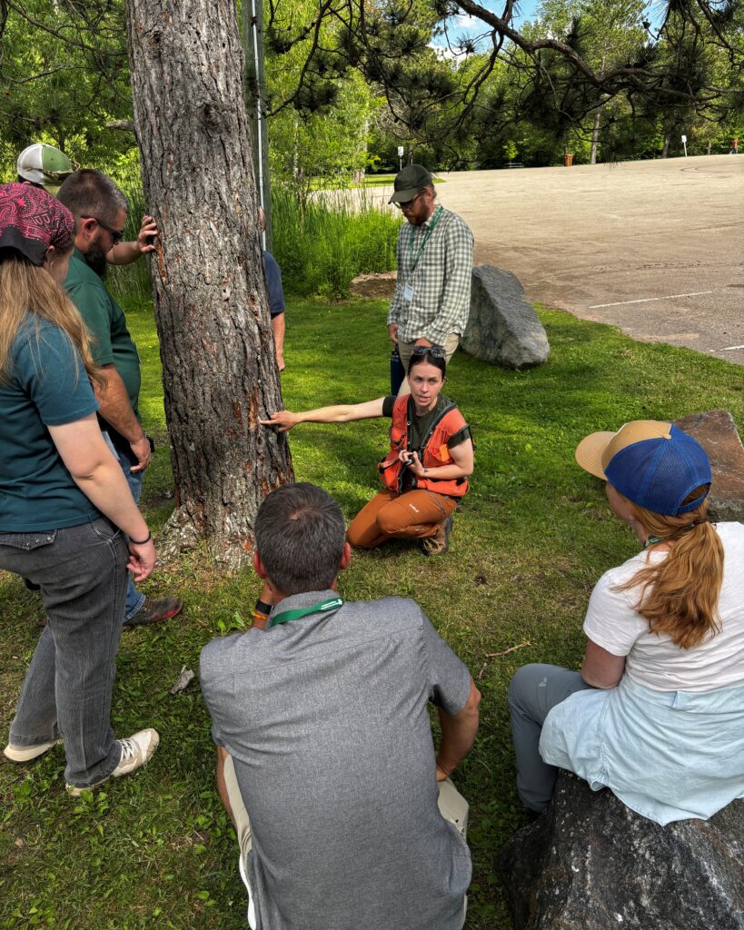 a group of people examining a tree trunk
