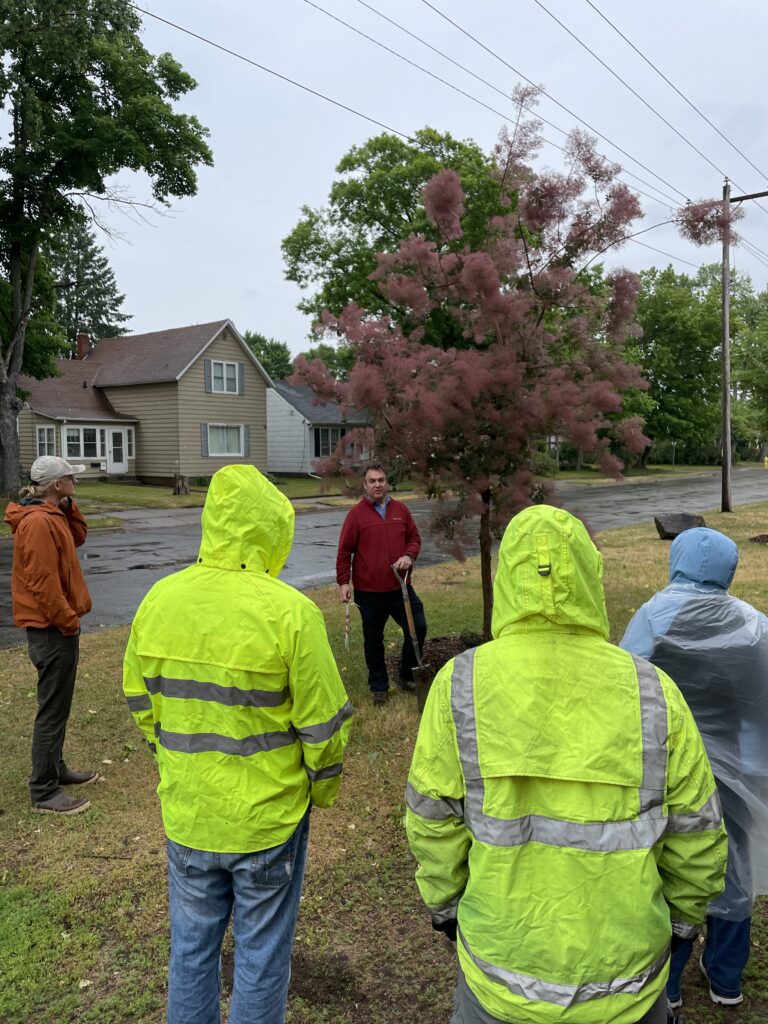 group learning about trees outside