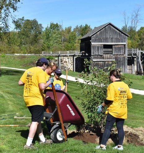 volunteers plant a tree