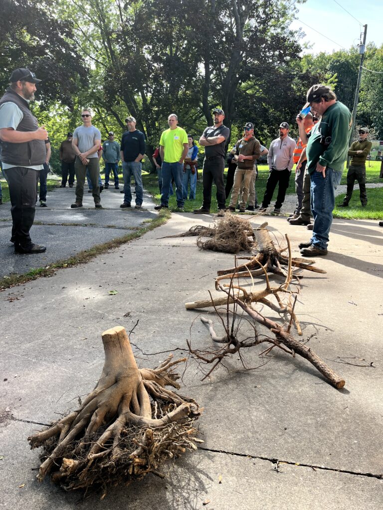 root samples